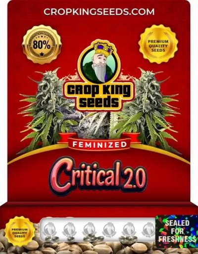 Critical 2.0